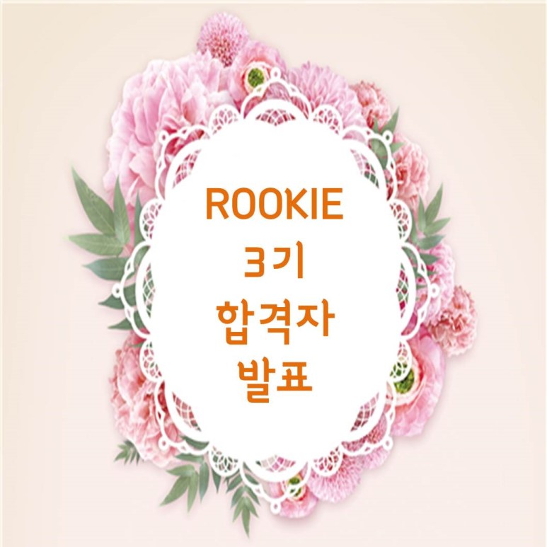 서포터즈 「ROOKIE」3기 최종합격자 발표